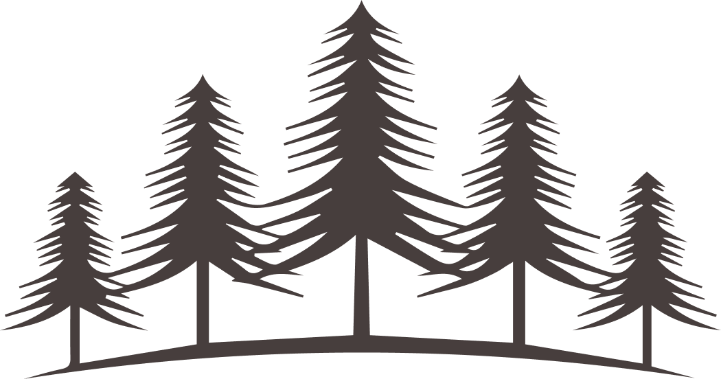Why Cedar Trees?