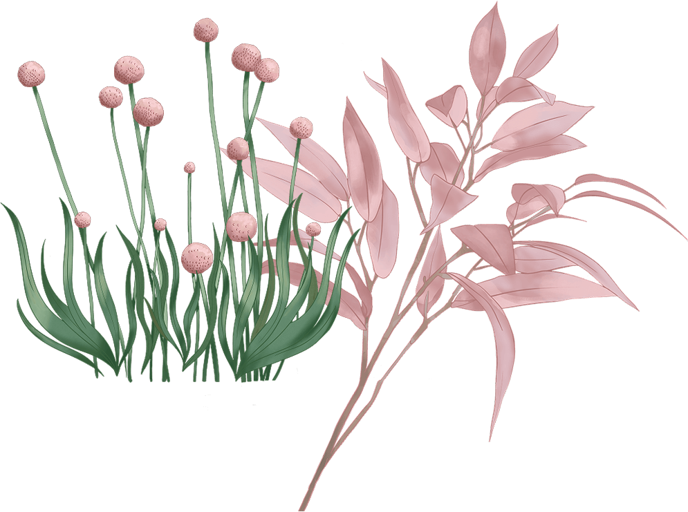 Decorative image