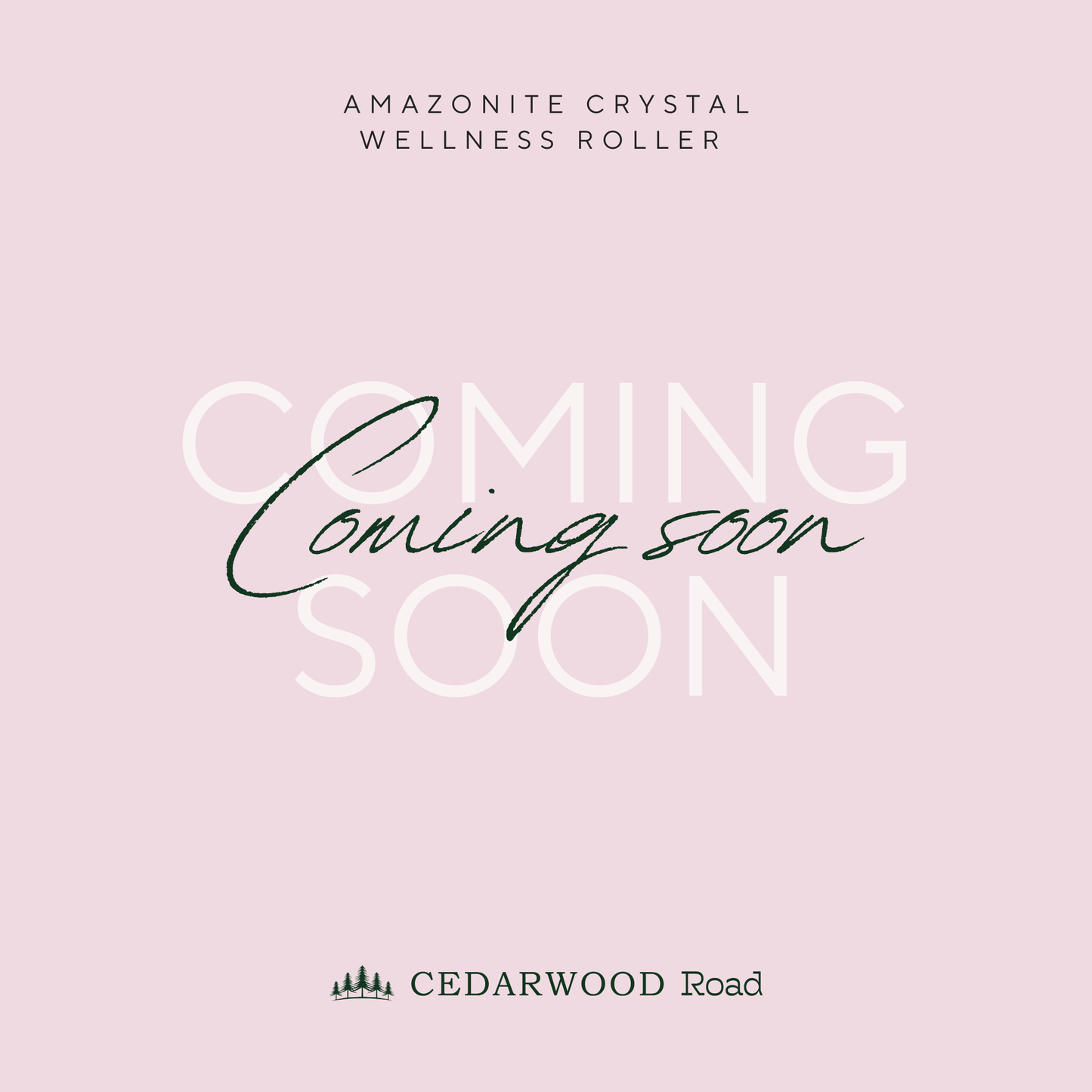 Amazonite | For courage and truth