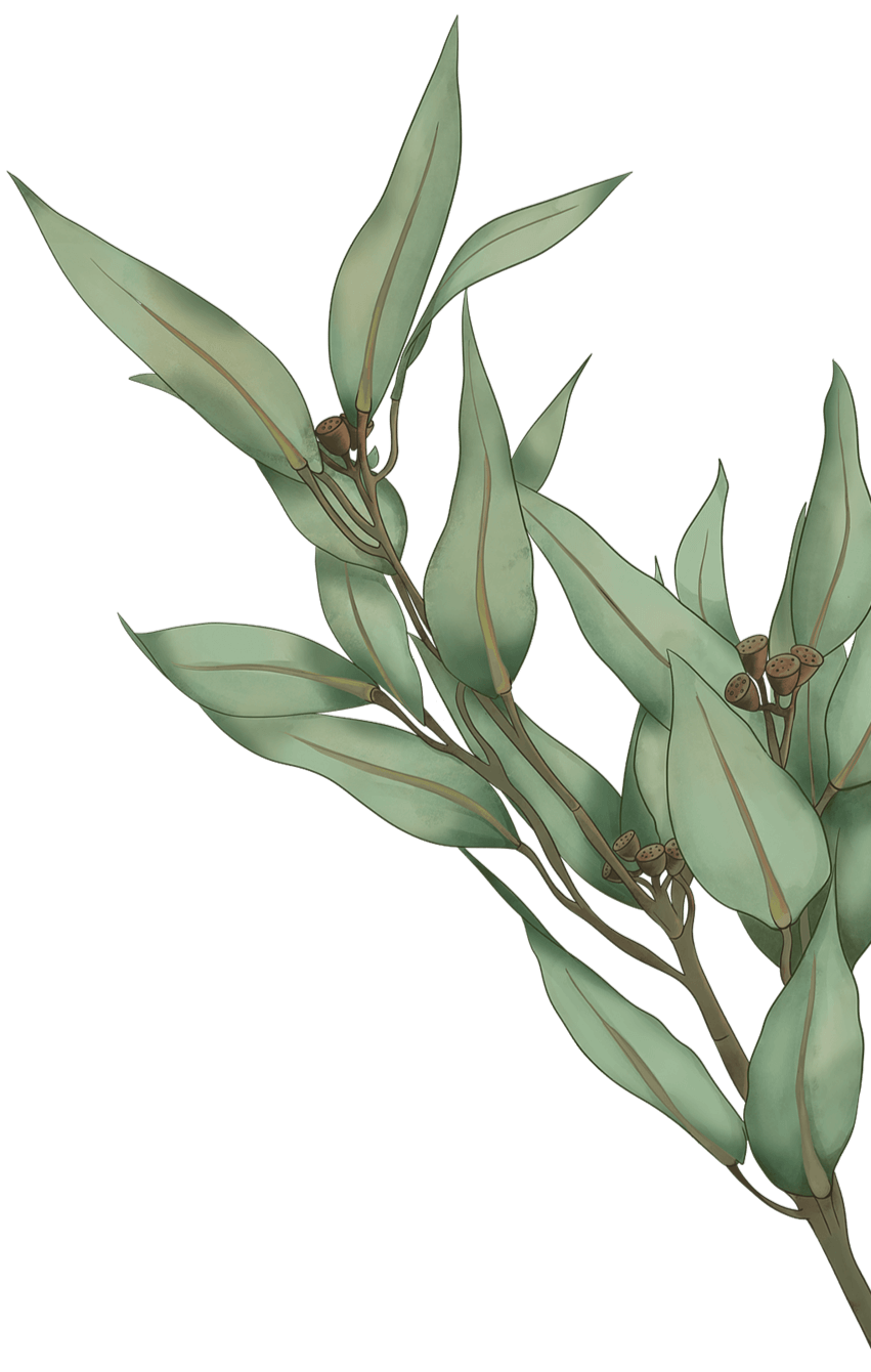 Decorative image 2